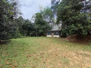 Sungai Ara Land For Sale | 1.032 Acres · Freehold — property photo